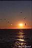 023coucher de soleil.jpg